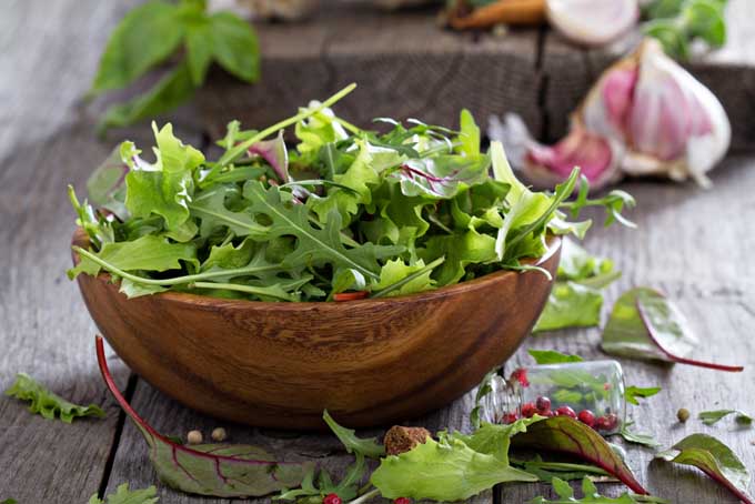 9 Good Reasons to Eat a Salad a Day