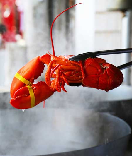 Boiled Maine Lobster | Foodal.com