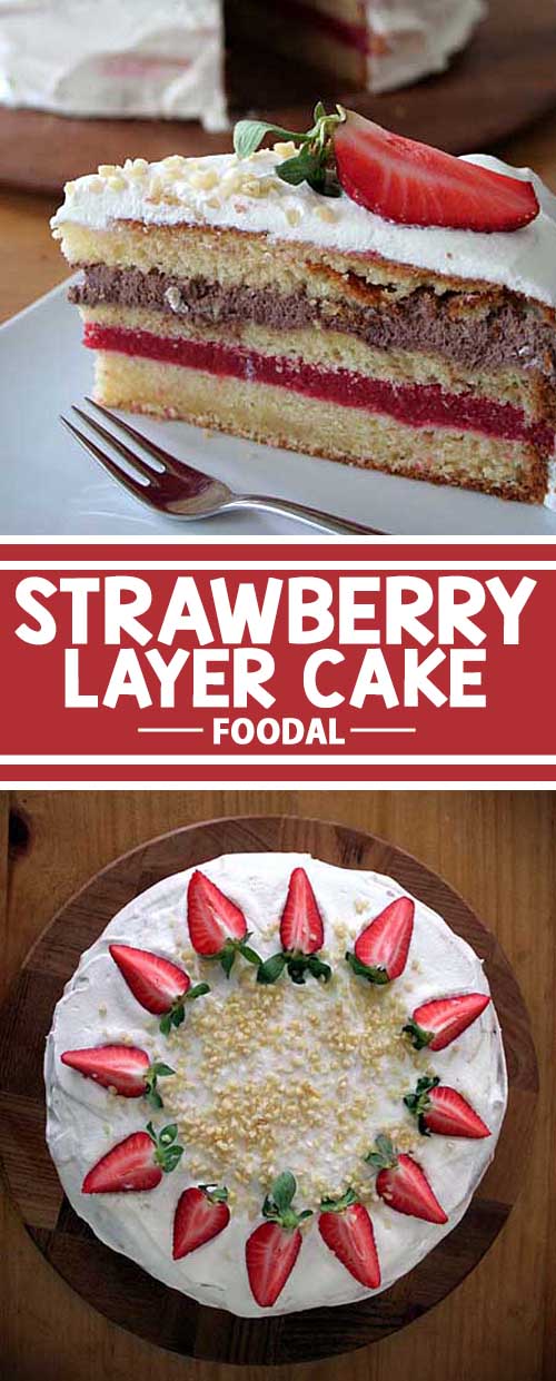 This cake boasts a succulent layer of strawberry purée and a second of chocolate cream. Besides looking totally scrumptious, it is also quite simple to create.