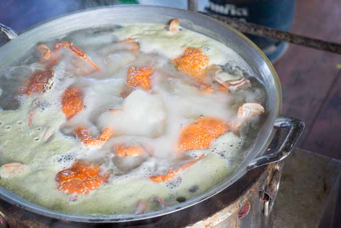 How to prepare and cook crabs | Foodal.com