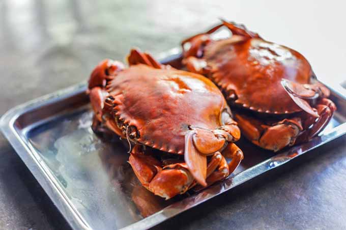 How to Bake Crabs | Foodal.com