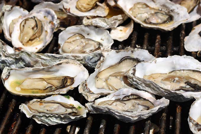 How to Grill Oysters and Other Shellfish | Foodal.com