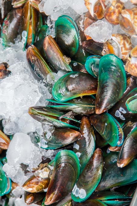 How to store shellfish | Foodal.com