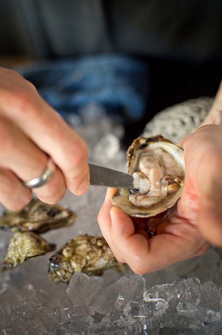 Shucking - How Prepare and Cook Shellfish | Foodal.com