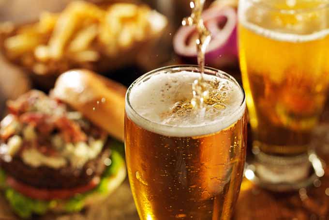 The Best Beer and Food Pairings | Foodal.com