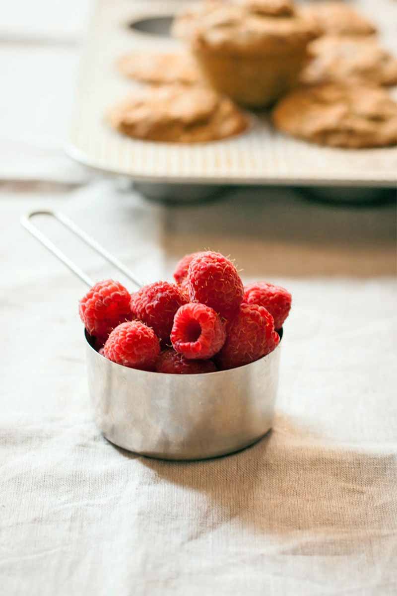 Closeup of a stainless steel measuring cup overflowing with fresh red berries, with a tin of muffins in soft focus in the background, on a tan cloth.