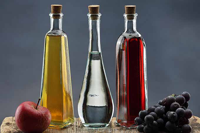The Wonderful World of Vinegar | Foodal.com
