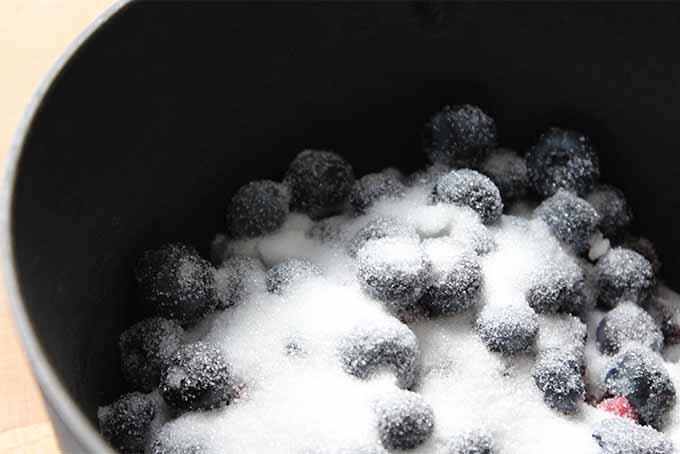 Blueberries in a Pot with Sugar | Foodal.com