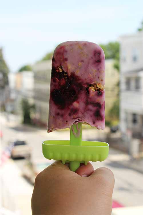 Make your own blueberry frozen yogurt popsicles with our simple recipe: https://foodal.com/recipes/breakfast/frozen-yogurt-popsicle-with-oats-and-blueberry-jam/
