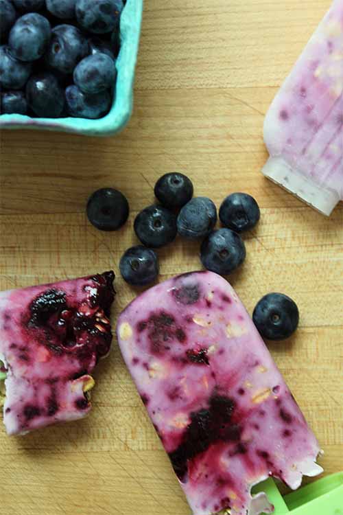 Nobody said a healthy breakfast couldn't be frozen! Homemade blueberry frozen yogurt popsicles make a great on-the-go breakfast. Here's the recipe: https://foodal.com/recipes/breakfast/frozen-yogurt-popsicle-with-oats-and-blueberry-jam/