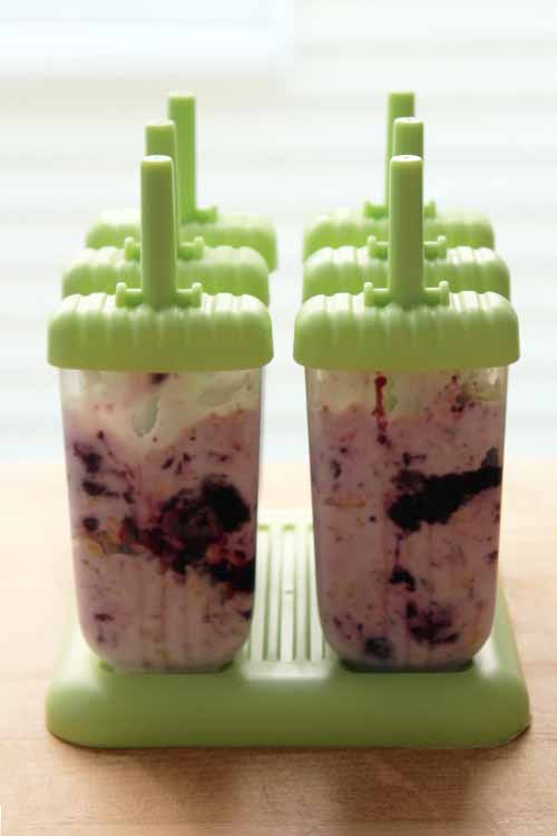 Make your own fresh blueberry jam to fill these homemade frozen yogurt popsicles: https://foodal.com/recipes/breakfast/frozen-yogurt-popsicle-with-oats-and-blueberry-jam/