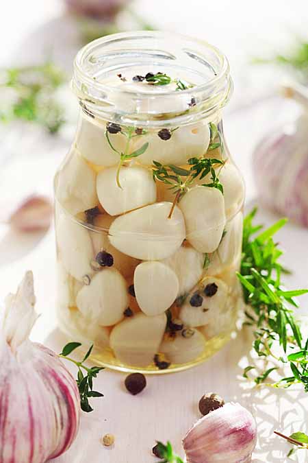 Pickling Garlic | Foodal.com