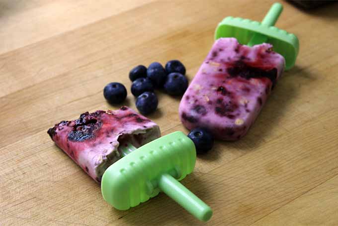Two Blueberry Yogurt Popsicles | Foodal.com