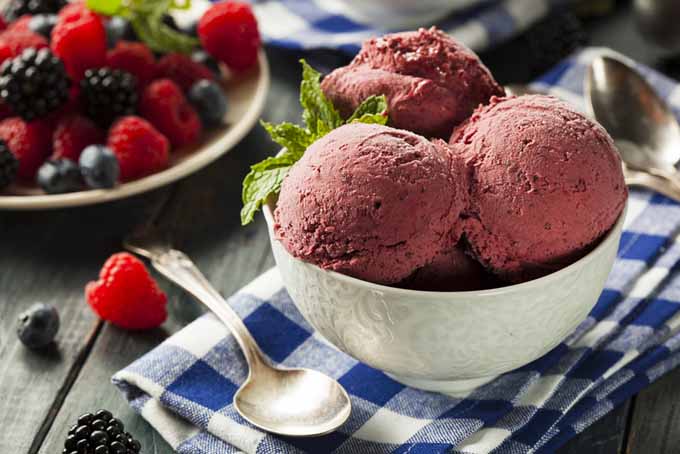 Homemade Berry Gelato | Foodal.com
