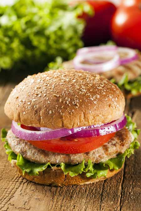 Homemade Turkey Burger Recipe | Foodal.com