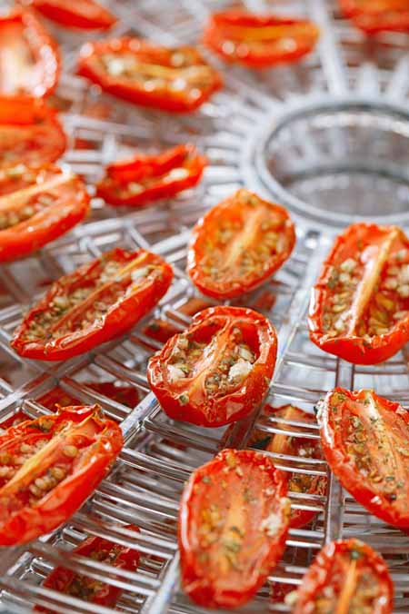 Make Sundried Tomatoes with a Dehyhdrator | Foodal.com