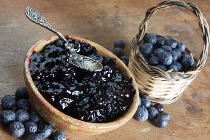 Spicy Blueberry Jam  Recipe