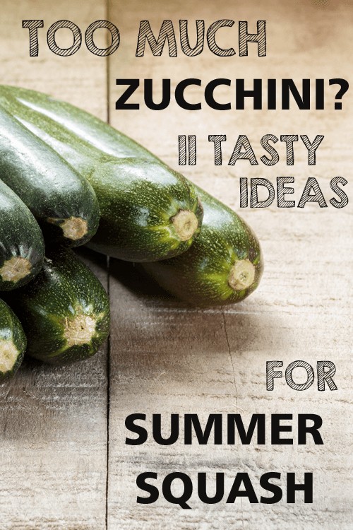 Too Much Zucchini: 11 Tasty Ideas for Summer Squash | Foodal.com