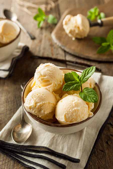 Vanilla Ice Cream - Homemade using the Cuisinart Ice 100 Compressor | Foodal.com