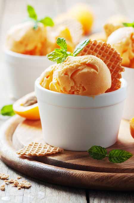Apricot Ice Cream made at home | Foodal.com