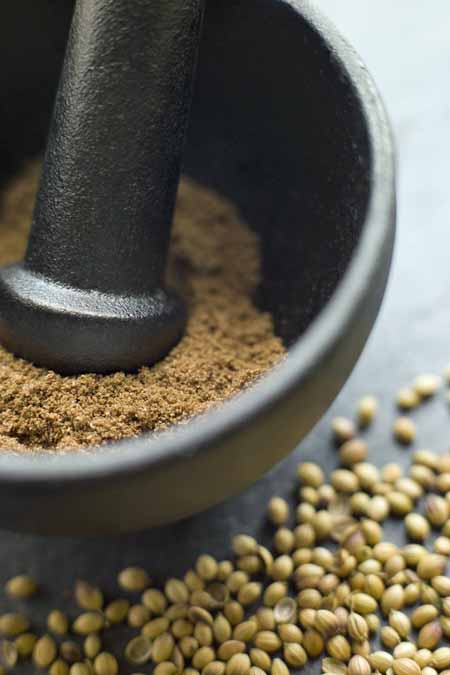 Grinding with a Mortar and Pestle | Foodal.com