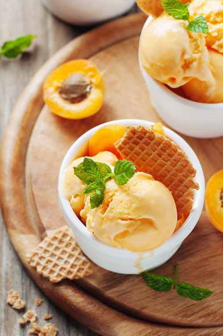 Homemade Apricot Ice Cream | Foodal.com