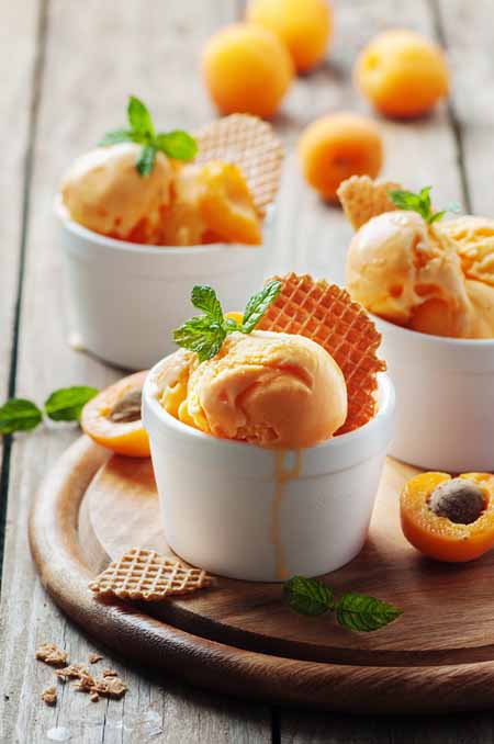 Homemade Ice Cream with Apricots | Foodal.com