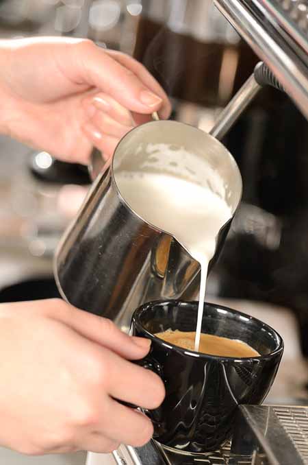 Making a Latte - Dairy Cows - How to Choose the Perfect Milk for Your Coffee | Foodal.com