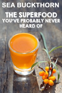 Sea Buckthorn: A Superfood You’ve Never Heard Of | Foodal