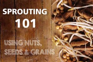 Sprouting 101: Using Nuts, Seeds & Grains