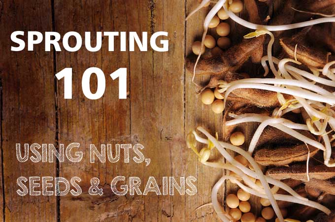 Sprouting 101: Using Nuts, Seeds & Grains | Foodal.com