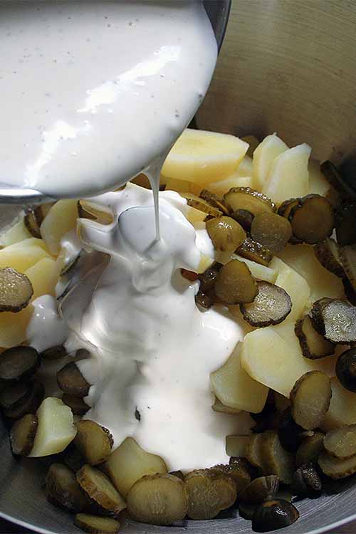 Close up of dressing being poured on top boiled and drained potatoes and sliced sweet gherkin pickles.