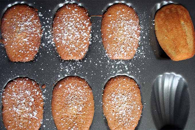 Freshly Baked Madeleines | Foodal.com