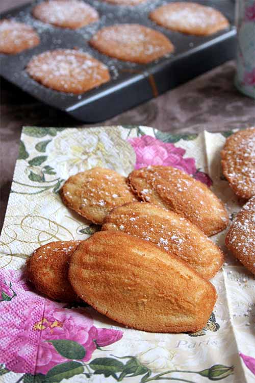Make your own buttery madeleines at home with our simple recipe: https://foodal.com/recipes/desserts/madeleines-the-aristocrat-of-cookies/