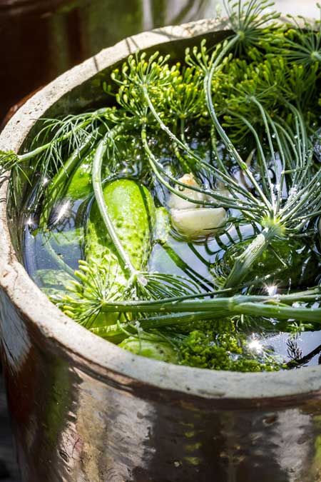 Best Homemade Pickles | Foodal.com