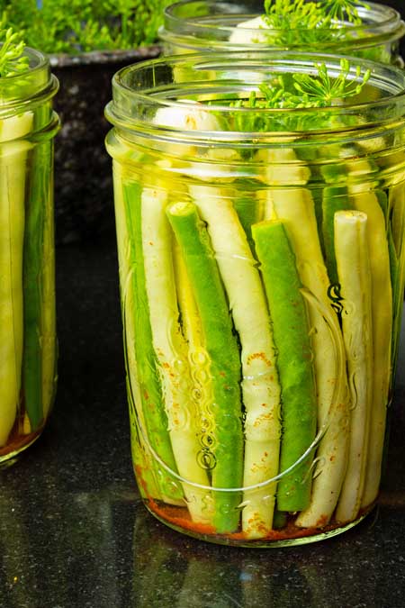 Dilly Green Bean Pickle Recipe | Foodal.com