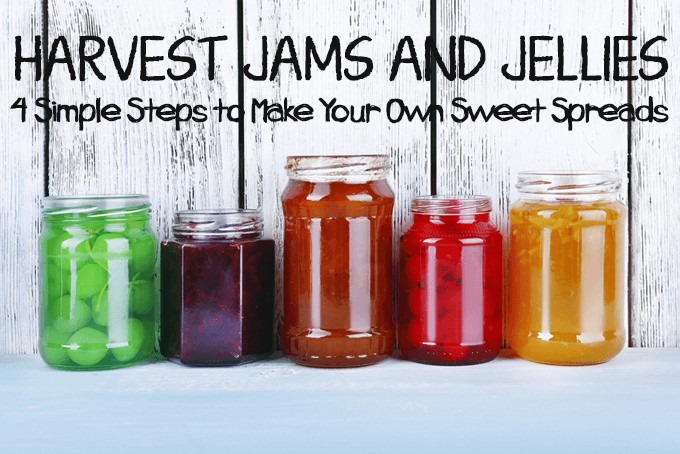 Harvest Jams and Jellies: 4 Simple Steps to Make Your Own Sweet Spreads | Foodal.com