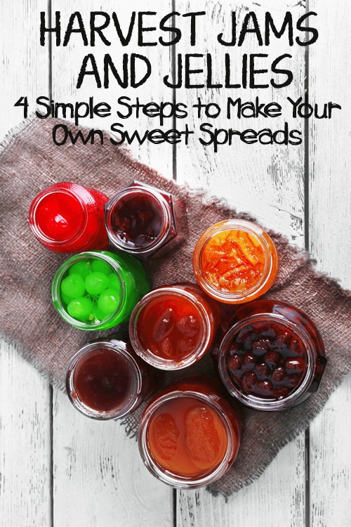 Harvest Jams and Jellies: 4 Simple Steps to Make Your Own Sweet Spreads | Foodal.com