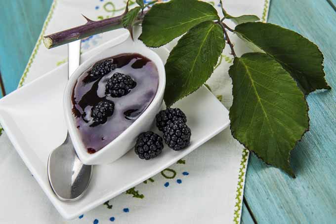 Homemade Blackberry Jelly Recipe | Foodal.com