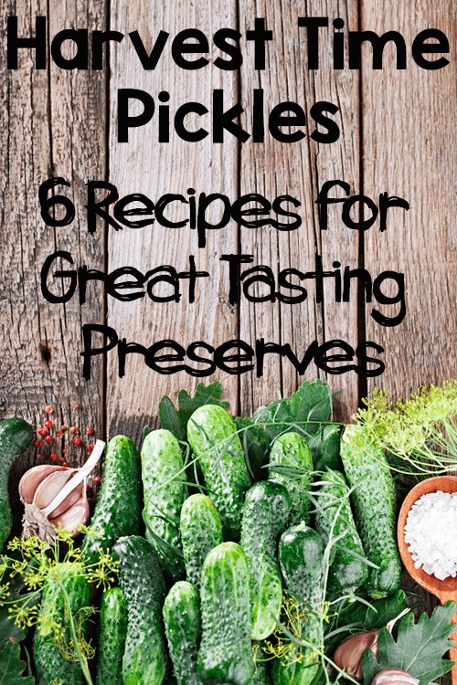 Harvest Pickles: 6 Recipes for Great Tasting Preserves