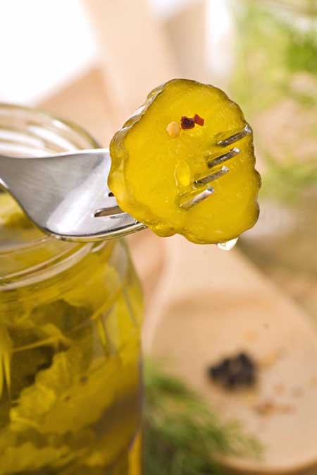 Recipe for Garlicky Dill Pickles | Foodal.com