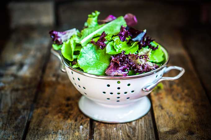Cooking Mistake #9: Your Fresh Salad Greens Wilt and Fade | Foodal.com