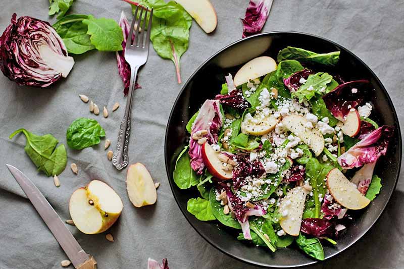 Top-down shot of a black bowl of salad with sliced apple, half a head of radicchio, a fork and serrated knife, and scattered greens on a gray tablecloth.