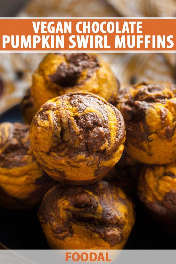 A close up of a batch of vegan chocolate pumpkin swirl muffins.