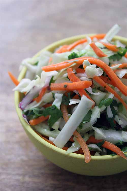 A small light breen bowl of cabbage and carrot slaw with cilantro.