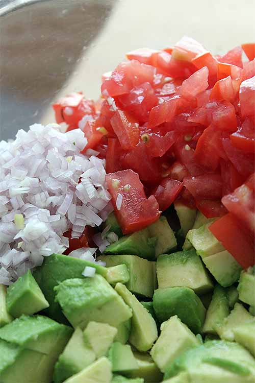 Chopped tomato, chopped avocado, and minced onion in a clear glass bowl.