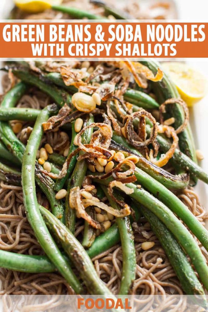 A close up of a vegan, vegetarian and gluten free side dish made with green beans, soba noodles, and shallots.