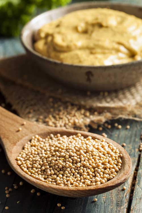 How to Make Homemade Mustard | Foodal.com