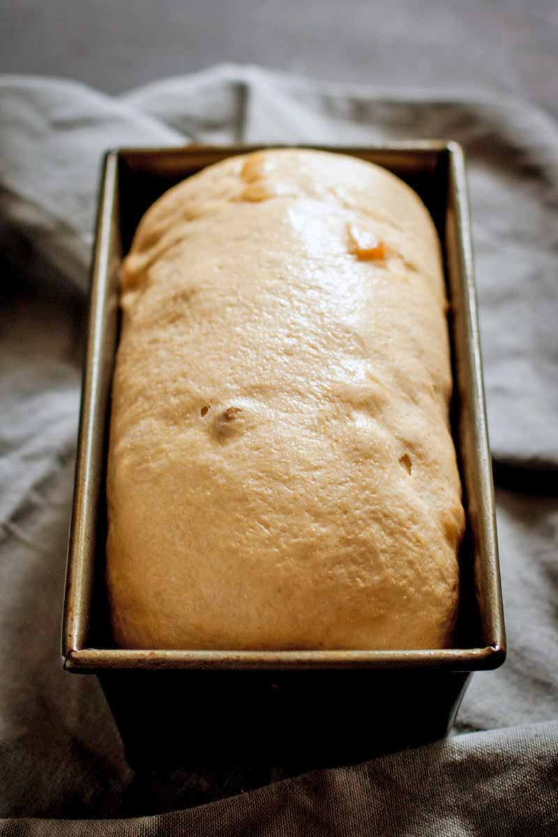 Vertical image of risen yeasted dough proofing in a loaf pan, on a folded and gathered gray cloth background.