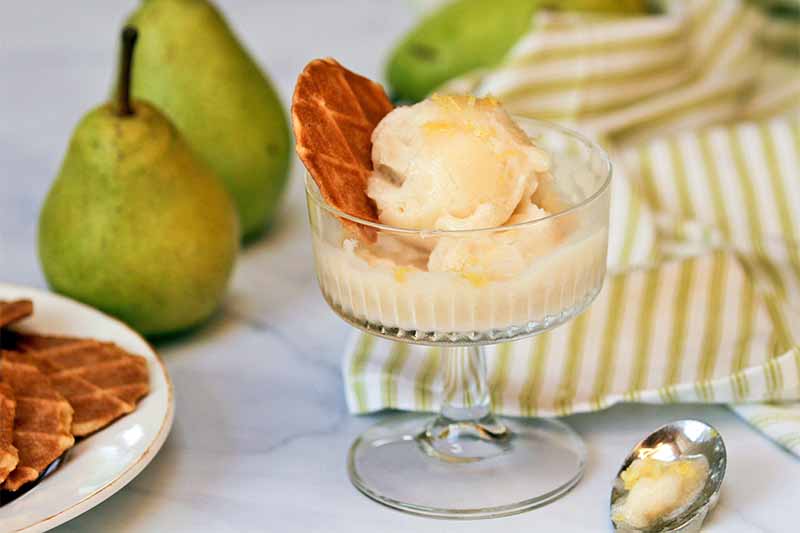 A glass parfait dish slightly right of center of the frame holds two scoops of pears sorbet and a cookie garnish, on a marble surface with a gathered green and white striped cloth, whole fruit, a white plate of cookies, and a spoon.